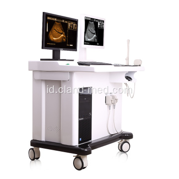 Mesin Ultrasound Trolley Digital Rumah Sakit dengan Workstation